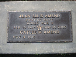 Alan Ellis Amend 