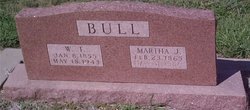 William T. Bull 