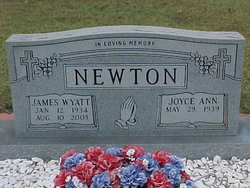 Joyce Ann Newton 