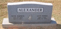 Lucy <I>Perrin</I> Alexander 