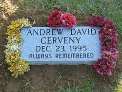 Andrew David Cerveny 