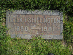 Leila Ivy Shillington 