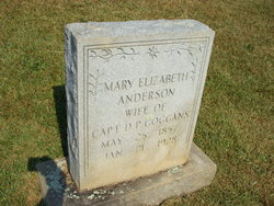 Mary Elizabeth <I>Anderson</I> Goggans 