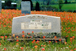 Joseph A. Nettles 