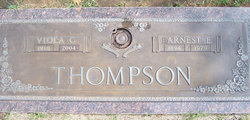 Viola Polly <I>Craig</I> Thompson 