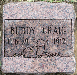 Buddy Craig 