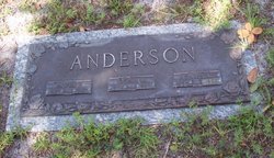 Alvin P Anderson 