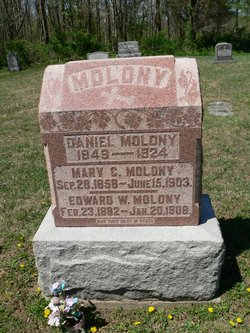 Daniel Molony 