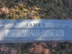 Carrie Bone <I>Ewing</I> James 