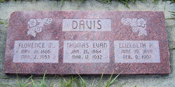 Elizabeth Ann <I>Greenland</I> Davis 