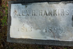 Alexander Hamilton Hankins 
