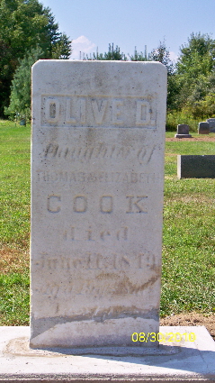 Olive D Cook 