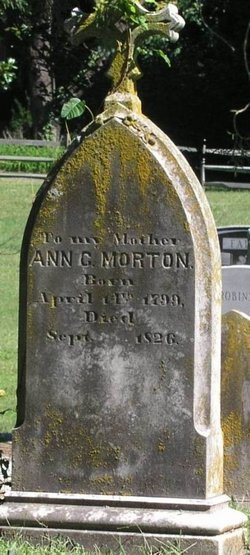 Ann C. Morton 