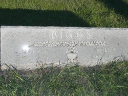 James William Biggs 