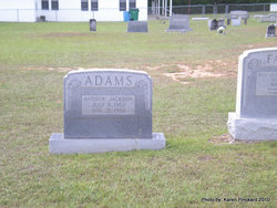 Andrew Jackson Adams 