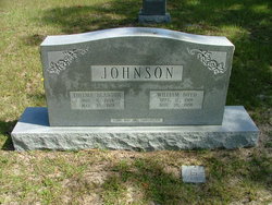William Boyd Johnson 