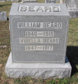Vibella <I>Daily</I> Beard 