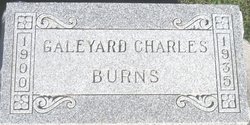 Galeyard Charles Burns 