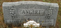 M. Barbara <I>McGinley</I> Angert 