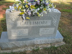 Catherine R. <I>Hoeffner</I> Gallimore 