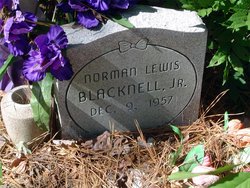 Norman Lewis Blacknell Jr.