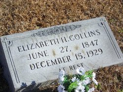 Elizabeth H Collins 
