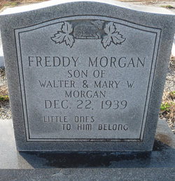 Freddy Morgan 