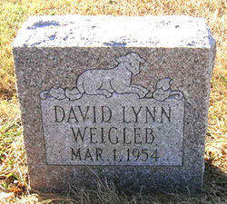 David Lynn Weigleb 
