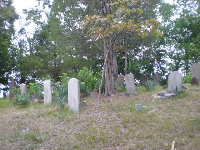 Baldwin-Buffet Family Cemetery