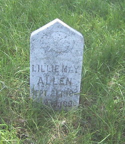 Melissa Lillie May Allen 