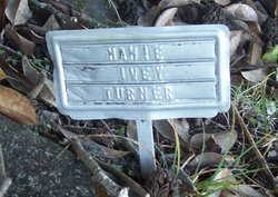 Mary Ellen “Mamie” <I>Ivey</I> Turner 