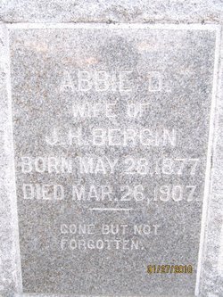 Abbie D. Bergin 