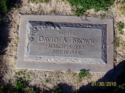 David Albert Brown 