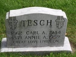 Annie A <I>Hinz</I> Tesch 