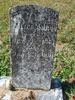 Alice Aaron 