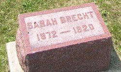 Sarah Brecht 