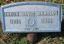 Aaron David Arnold 