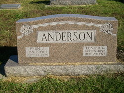 Fern J Anderson 