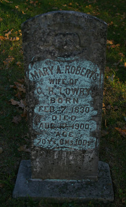 Martha Ann “Mary” <I>Wyatt</I> Lowry 