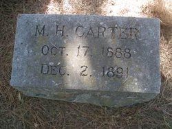 Matthew Henry Carter 