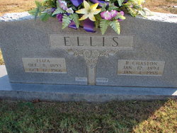 Mary Eliza Jane <I>Patton</I> Ellis 