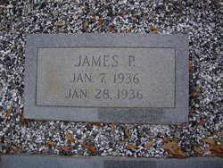 James P. Freeman 