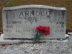 George T Arnold 