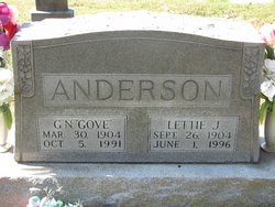 Lettie Jane <I>Smith</I> Anderson 