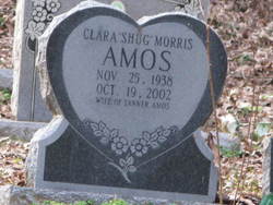 Clara Lee “Shug” Amos 