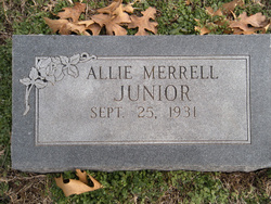Allie Willene “Allie” <I>Evans</I> Merrell/Junior 
