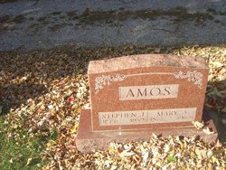 Mary Ann “Mollie” <I>Henry</I> Amos 