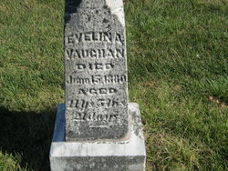 Evelina Vaughan 