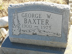 George Willis Baxter 