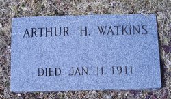 Arthur H Watkins 